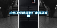 山东长征娱乐除湿机厂家现货直销