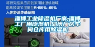 淄博长征娱乐除湿机厂家,淄博工厂用除湿机,淄博厂房车间仓库用除湿机