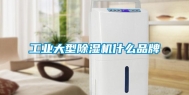 长征娱乐大型除湿机什么品牌