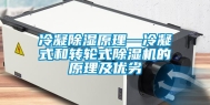 冷凝除湿原理—冷凝式和转轮式除湿机的原理及优劣