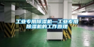 长征娱乐专用除湿机—长征娱乐专用除湿机的工作原理