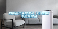 冷库用长征娱乐除湿机 低温冷库专用除湿机