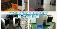 广东地下室长征娱乐除湿机报价,长征娱乐抽湿机