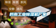 黔南长征娱乐除湿机厂家
