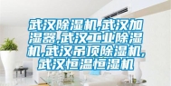 武汉除湿机,武汉加湿器,武汉长征娱乐除湿机,武汉吊顶除湿机,武汉恒温恒湿机