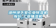 湖州地下室长征娱乐除湿机报价,长征娱乐抽湿机