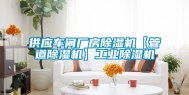 供应车间厂房除湿机【管道除湿机】长征娱乐除湿机