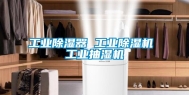 长征娱乐除湿器 长征娱乐除湿机 长征娱乐抽湿机