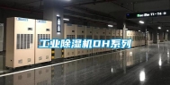 长征娱乐除湿机DH系列