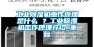 长征娱乐除湿机工作原理是什么 ？长征娱乐除湿机工作原理介绍_重复