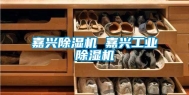 嘉兴除湿机 嘉兴长征娱乐除湿机