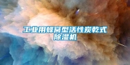 长征娱乐用蜂窝型活性炭乾式除湿机