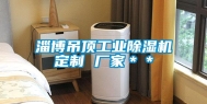 淄博吊顶长征娱乐除湿机定制 厂家＊＊