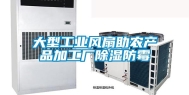 大型长征娱乐风扇助农产品加工厂除湿防霉
