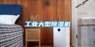 长征娱乐大型除湿机