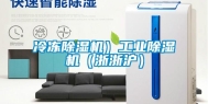 冷冻除湿机）长征娱乐除湿机（浙浙沪）