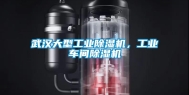 武汉大型长征娱乐除湿机，长征娱乐车间除湿机