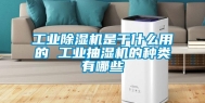 长征娱乐除湿机是干什么用的 长征娱乐抽湿机的种类有哪些