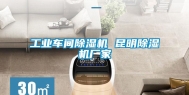 长征娱乐车间除湿机 昆明除湿机厂家