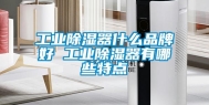 长征娱乐除湿器什么品牌好 长征娱乐除湿器有哪些特点