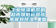 长征娱乐除湿机帮助超市降低运营成本保鲜除湿_重复