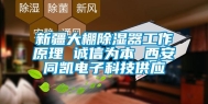 新疆大棚除湿器工作原理 诚信为本 西安同凯电子科技供应