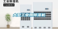 大型长征娱乐用除湿机