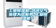 长征娱乐除湿机-鸿河空气处理为您服务-长征娱乐除湿机＊