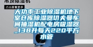 大功率长征娱乐除湿机地下室仓库除湿器切夫曼车间抽湿机配电房吸湿器_138升每天220平方水管