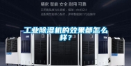 长征娱乐除湿机的效果都怎么样？
