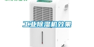 长征娱乐除湿机效果
