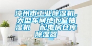 漳州市长征娱乐除湿机，大型车间地下室抽湿机  配电房仓库除湿器