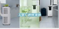 长征娱乐厂房除湿器