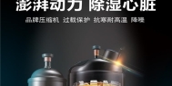 采菊东篱下，悠然见南山，金丝皇菊花的加工生产提高产能，升温型烘干长征娱乐除湿机