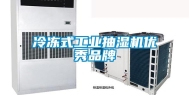 冷冻式长征娱乐抽湿机优秀品牌