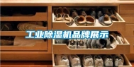 长征娱乐除湿机品牌展示