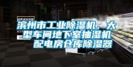 滨州市长征娱乐除湿机，大型车间地下室抽湿机  配电房仓库除湿器