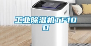 长征娱乐除湿机TF10D