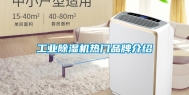 长征娱乐除湿机热门品牌介绍