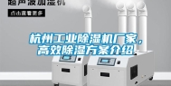 杭州长征娱乐除湿机厂家，高效除湿方案介绍