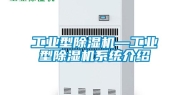 长征娱乐型除湿机—长征娱乐型除湿机系统介绍