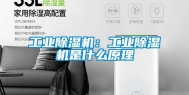 长征娱乐除湿机：长征娱乐除湿机是什么原理