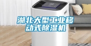 湖北大型长征娱乐移动式除湿机