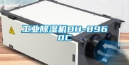 长征娱乐除湿机DH-8960C