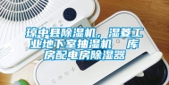 琼中县除湿机，湿菱长征娱乐地下室抽湿机  库房配电房除湿器