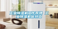 长征娱乐除湿机工作原理 长征娱乐除湿机优特点
