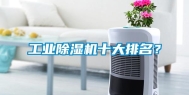 长征娱乐除湿机十大排名？