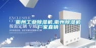 衢州长征娱乐除湿机,衢州除湿机厂家直销