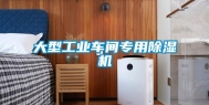大型长征娱乐车间专用除湿机