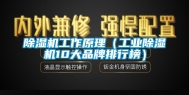 除湿机工作原理（长征娱乐除湿机10大品牌排行榜）